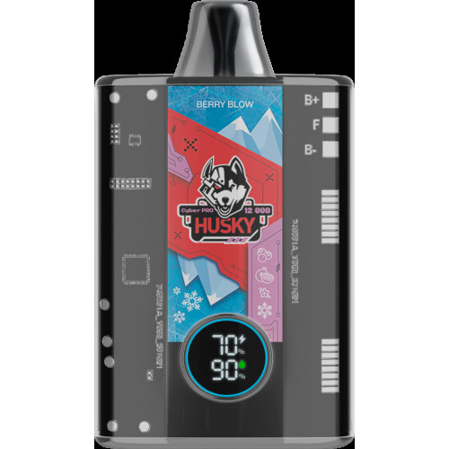 Husky cyber pro Berry Blow Черника / гранат / ваниль / лёд